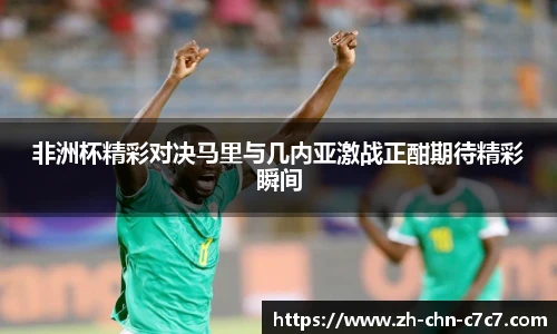 非洲杯精彩对决马里与几内亚激战正酣期待精彩瞬间